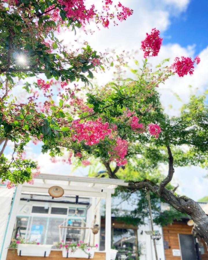 Nemaru Live With Books Hotel Nagaoka  Ngoại thất bức ảnh